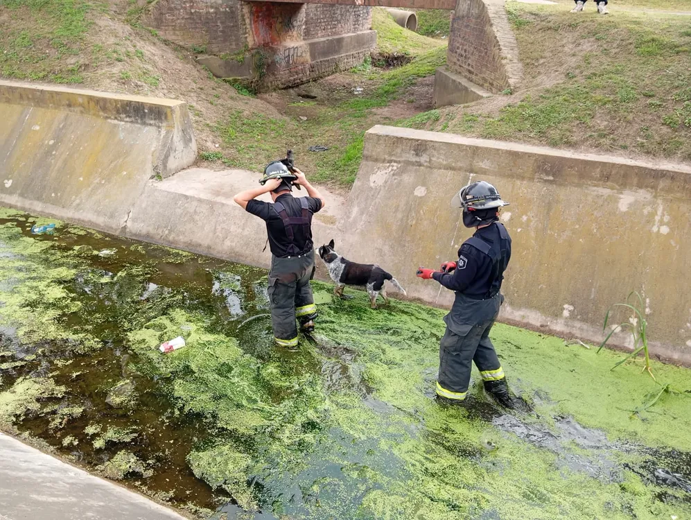 rescate-