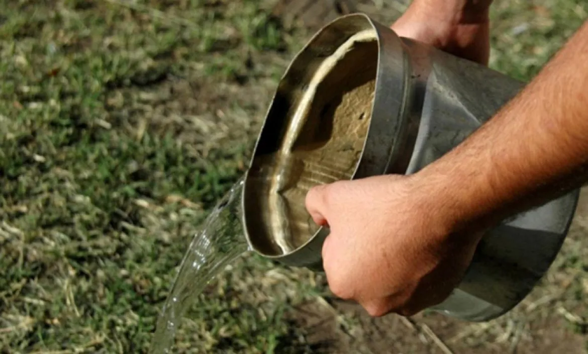 14cbf7fe-c381-44bd-893c-d6378de83066