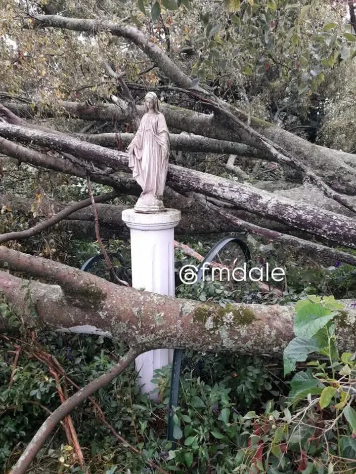 e6138d05-a0d8-406e-af62-9896aba78f36