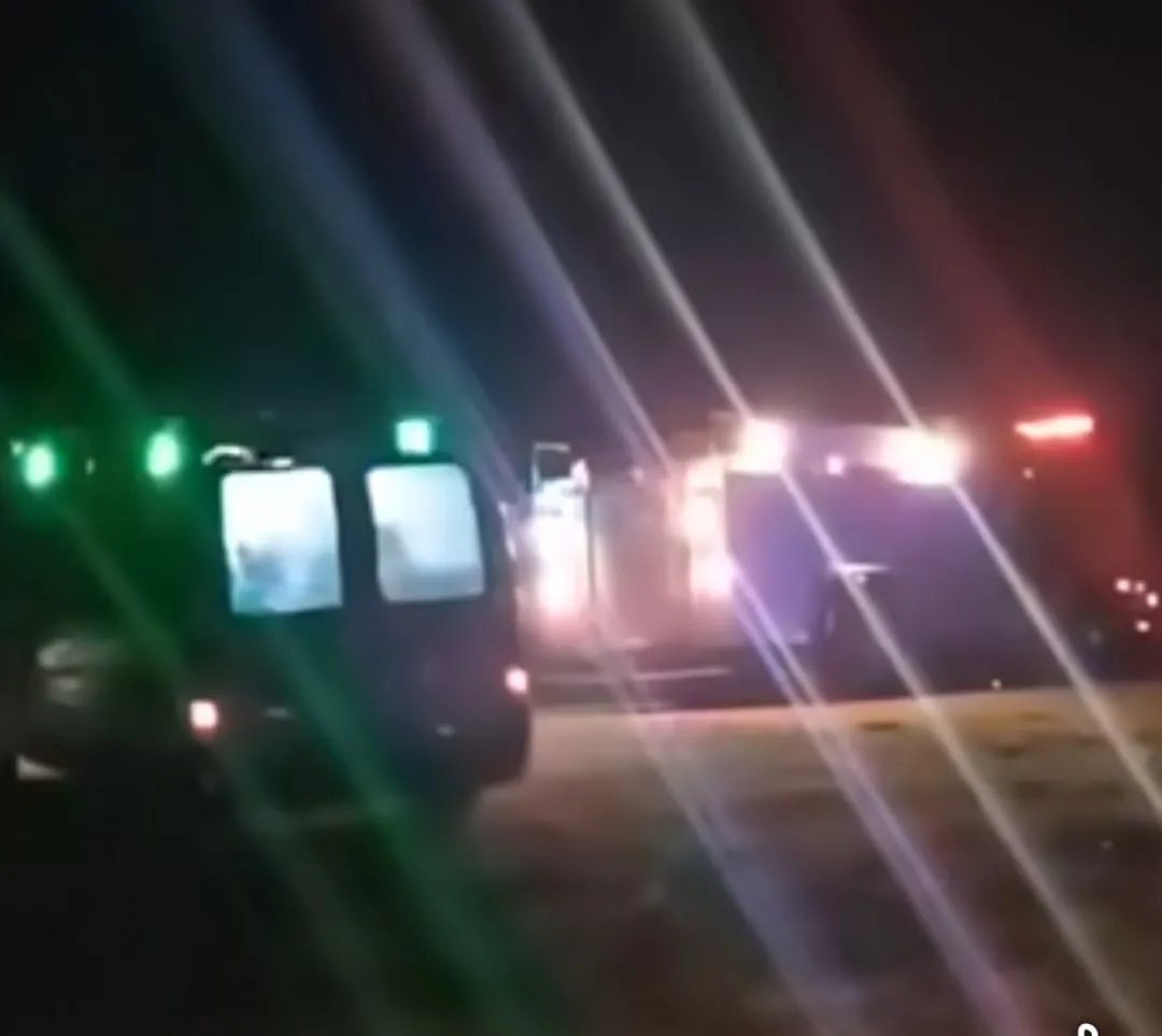 00e6c332-858f-4c3d-bf02-e8ae8f29b4b2