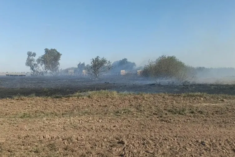 25145-incendio-campos8