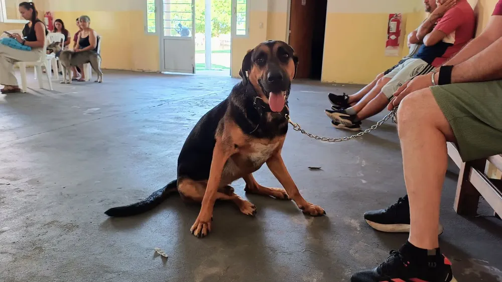 WhatsApp-Image-2026-01-04-at-11.51.57