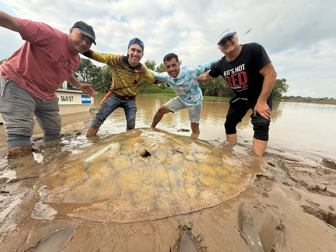 4f8218ef-91ee-46d8-8825-8994589f25eb