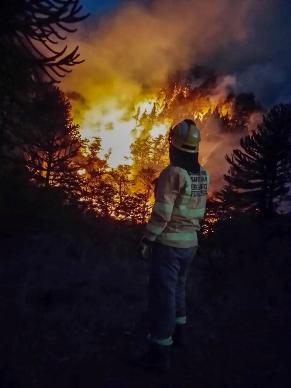 da6afdfd-4a5b-4190-976d-97257e519d44