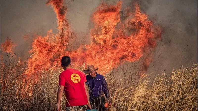 fuego_islas_crop1699465157745_crop1699465177956.jpg_1756841869