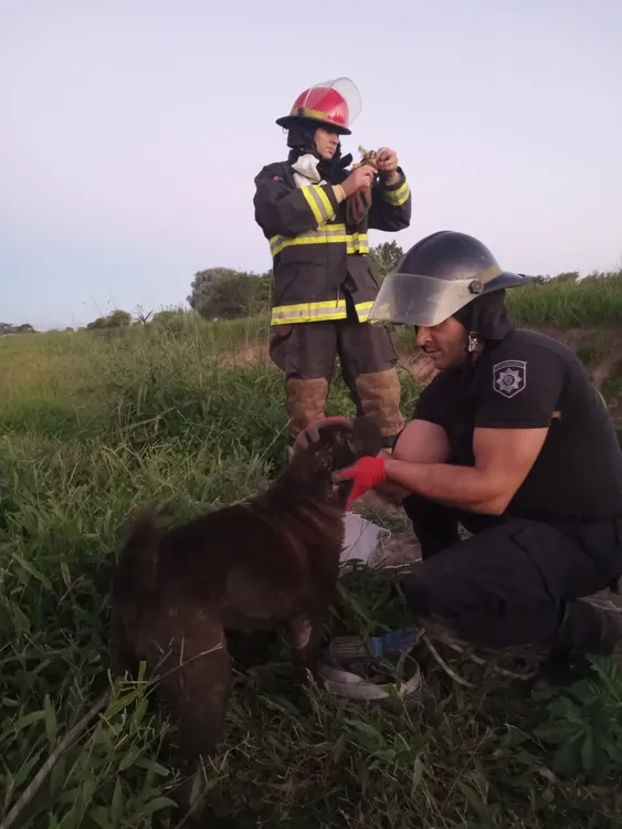 WhatsApp-Image-2026-03-19-at-21.33.52