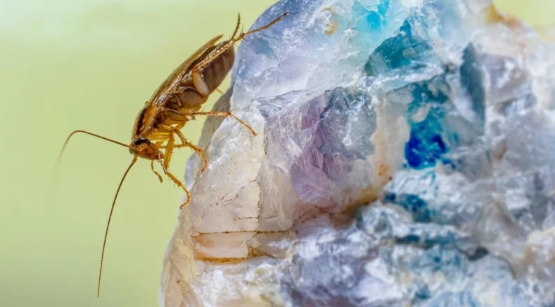 Captura de pantalla 2026-03-29 215234