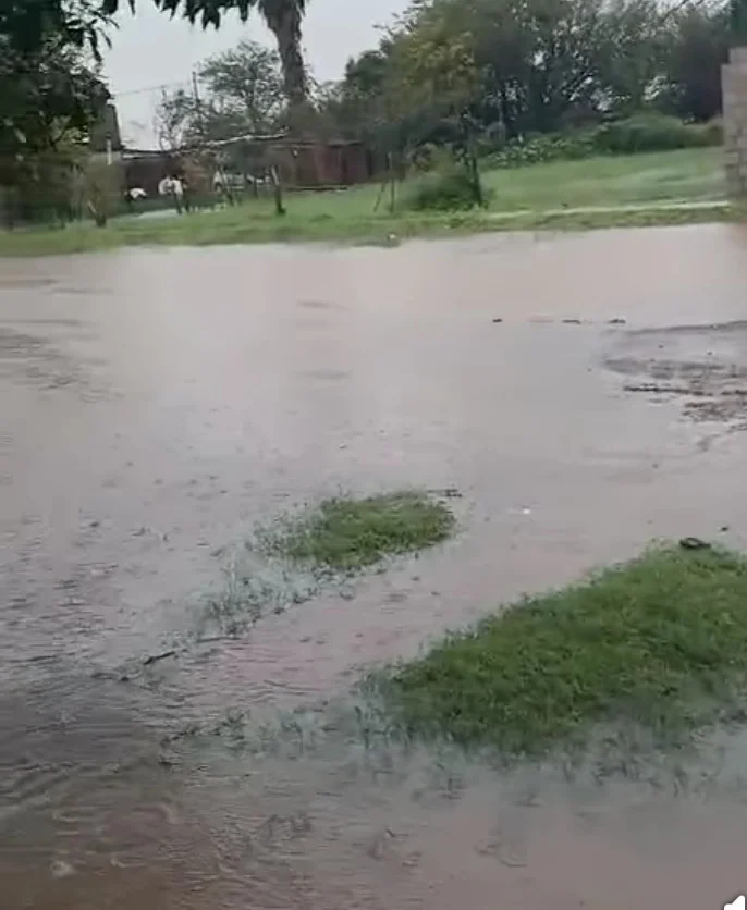 WhatsApp-Image-2026-04-07-at-20.40.04