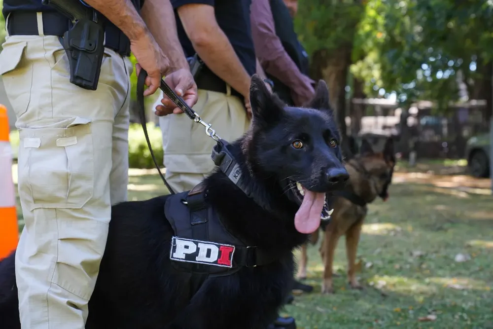 b9820d87-d01d-41d9-b053-7851fa14c612