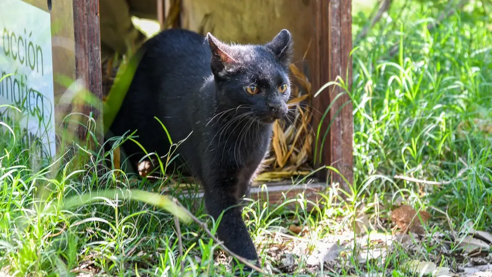 6bbd1449-7eac-4664-bd45-39bff76e4811