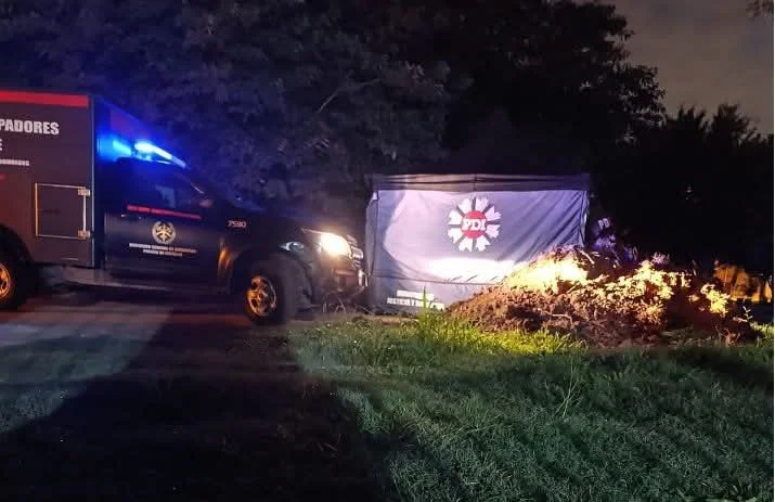 d0327fc4-15ec-4650-8a74-eefe0f4c84b9