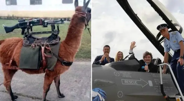 43e90256-3f58-424a-8105-d3db0d5393a0