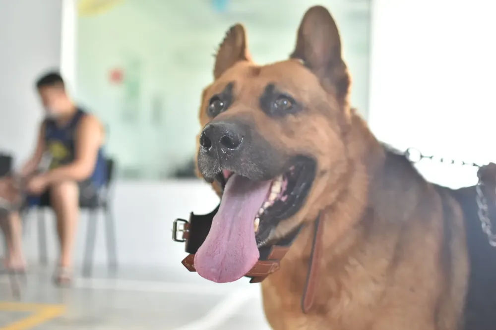 WhatsApp-Image-2026-02-17-at-10.58.03