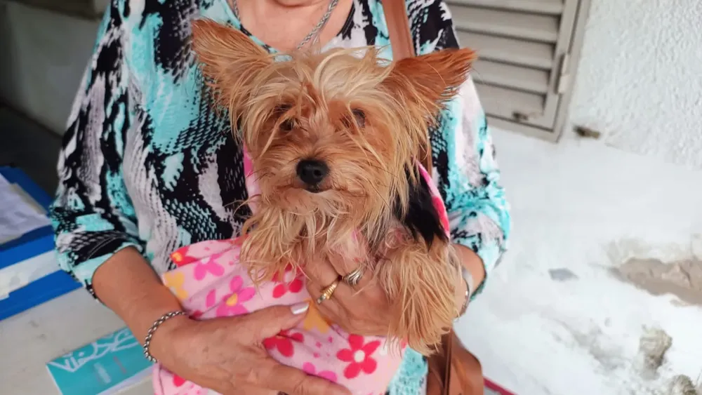 WhatsApp-Image-2026-04-04-at-16.03.16