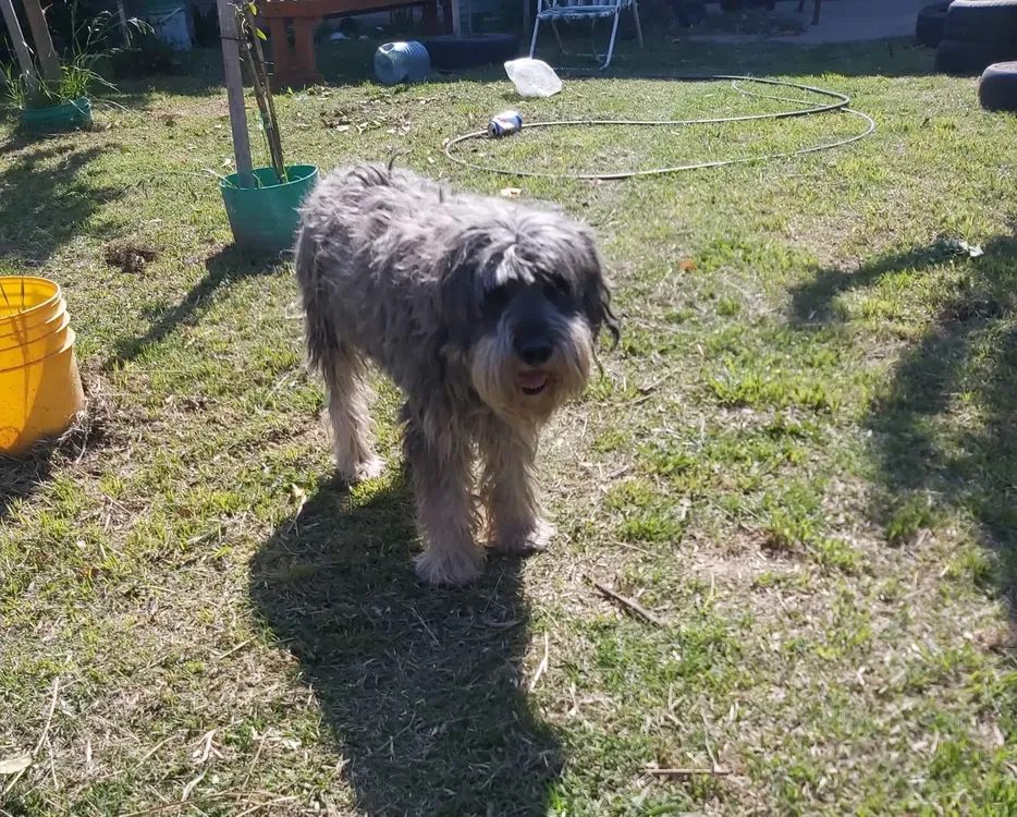 1b21d07c-a0be-476e-8592-a3b6e0d9f5f6