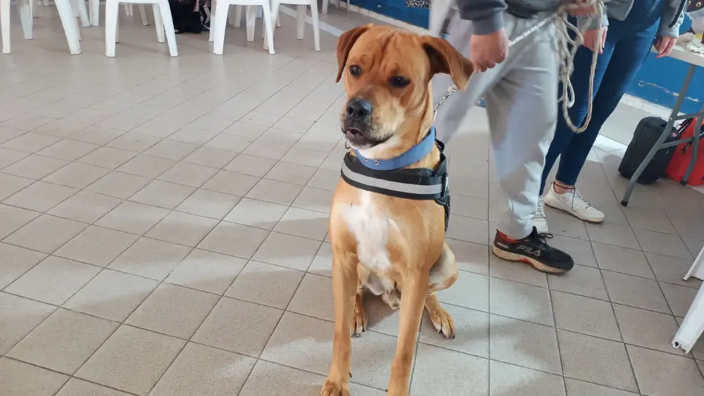 WhatsApp-Image-2025-11-30-at-4.21.28-PM