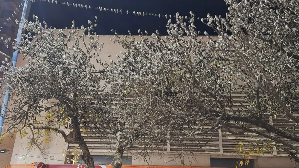 bb5ce761-f7da-4249-b39b-d9445546a19d