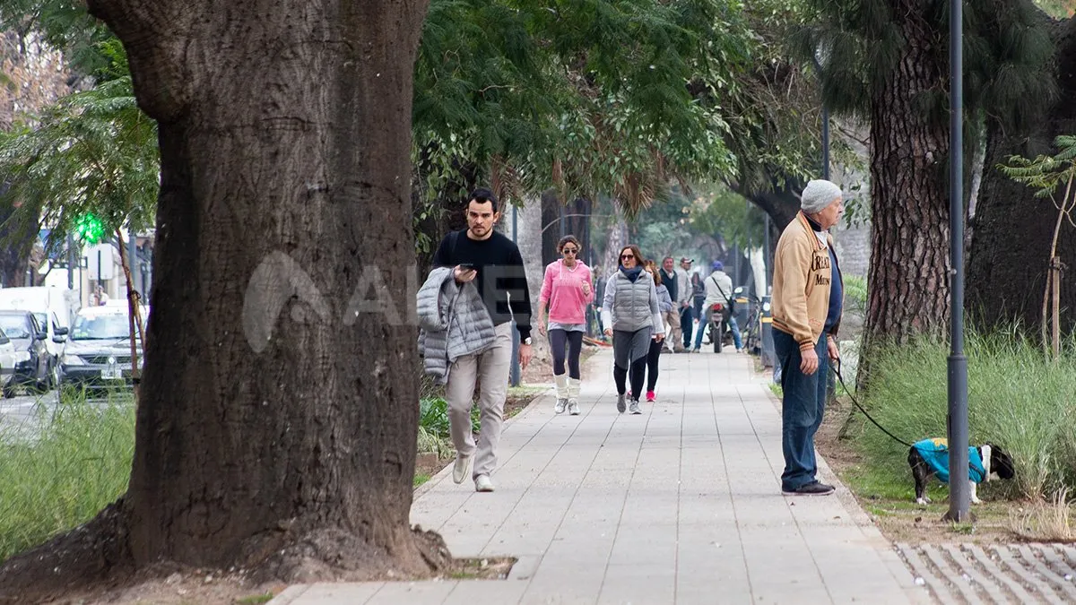 frio-boulevard-tiempo-climajpg