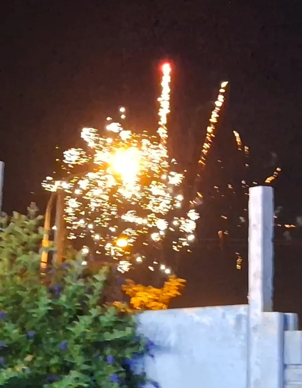 0290827e-d011-491f-81f1-c373de2317ea