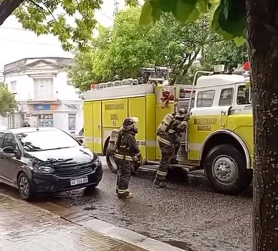 b22e2cba-bb13-46a5-8135-4f20350a3305