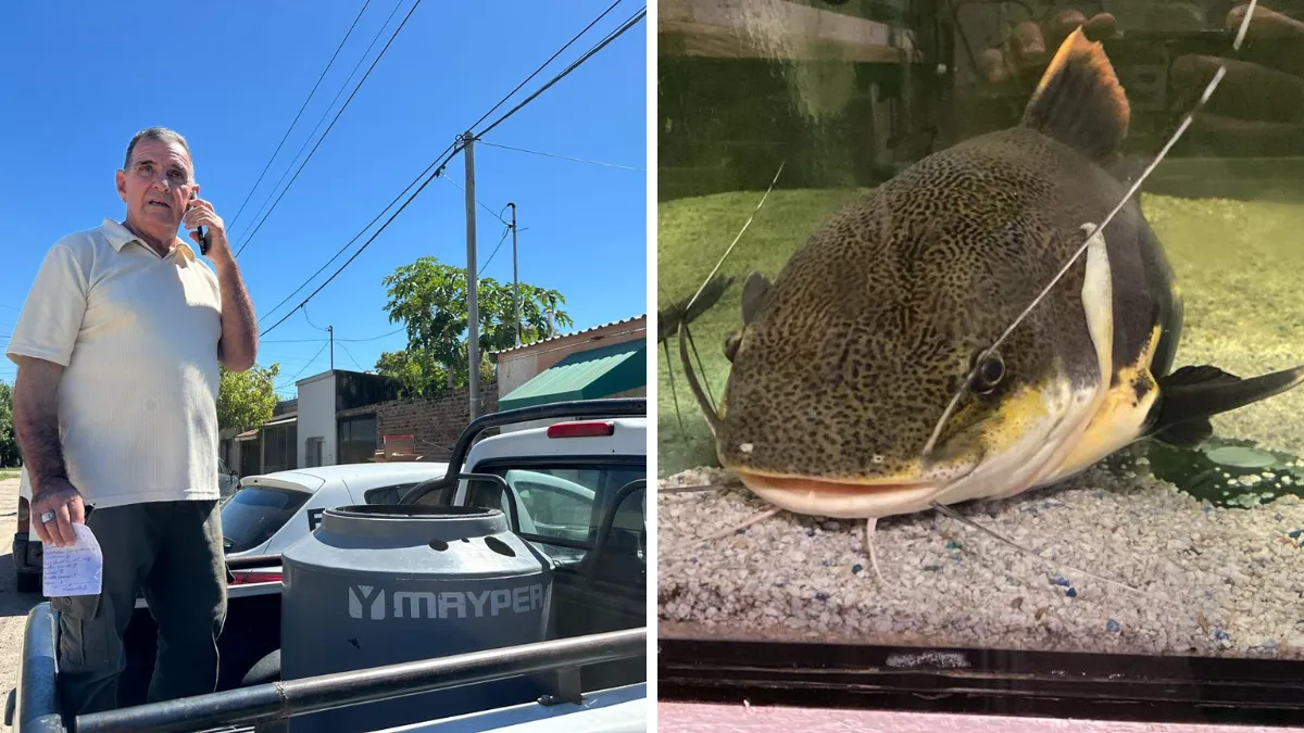 gordo-inicia-su-viaje-una-nueva-vida-temaiken