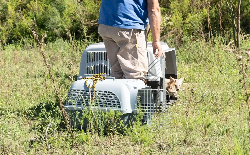 01e56e2c-9f88-4d6e-bbee-ac4d370ce386