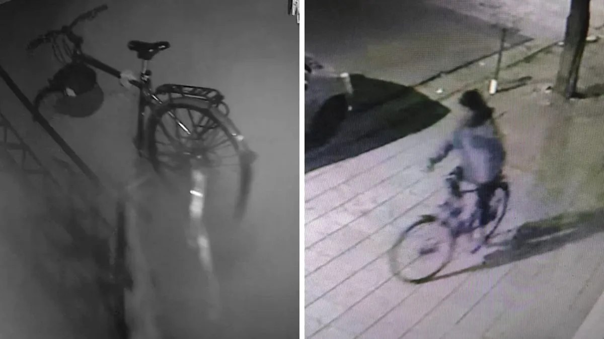 robo-bicicleta-barrio-sur