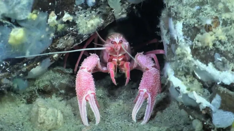 streaming.jpg_1756841869