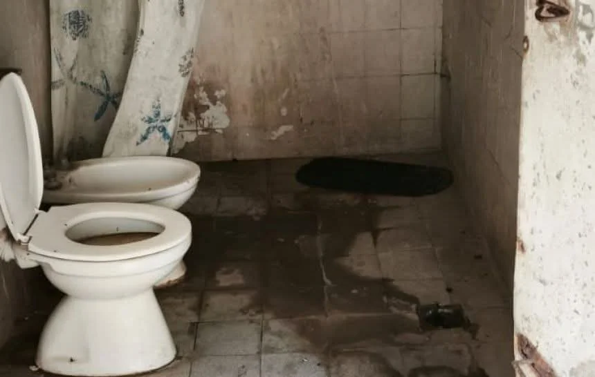 d31a5e1d-4b60-47d8-af35-8d39d1a607f0