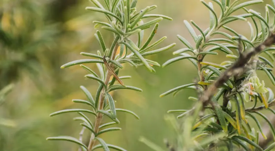 Captura de pantalla 2025-11-28 131643