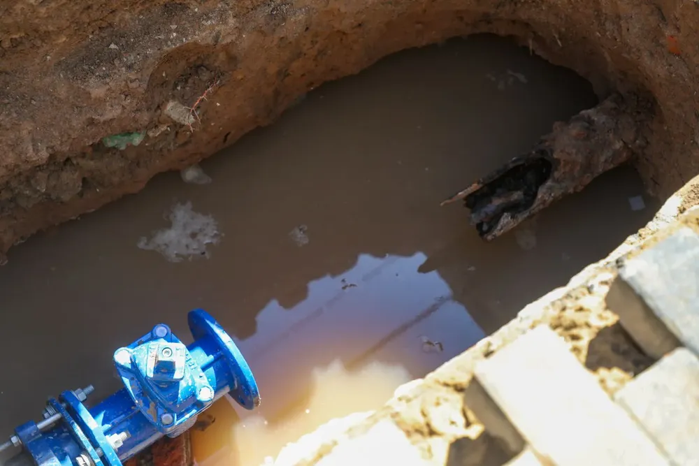 bb362130-e24d-4170-8449-a2d41a3a55e2