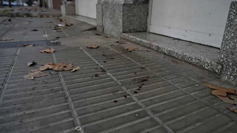 ataque_a_tiros_rueda_1800.jpg_1756841869