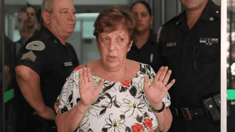 viviana-fein_-1-.png_2045344936