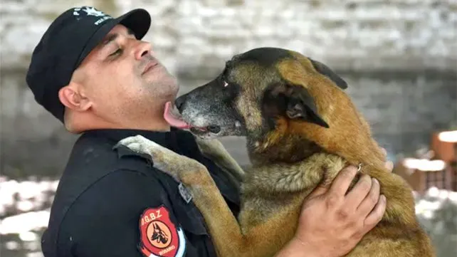 baloo-ovejero-belga-bomberos-zapadoresjpg