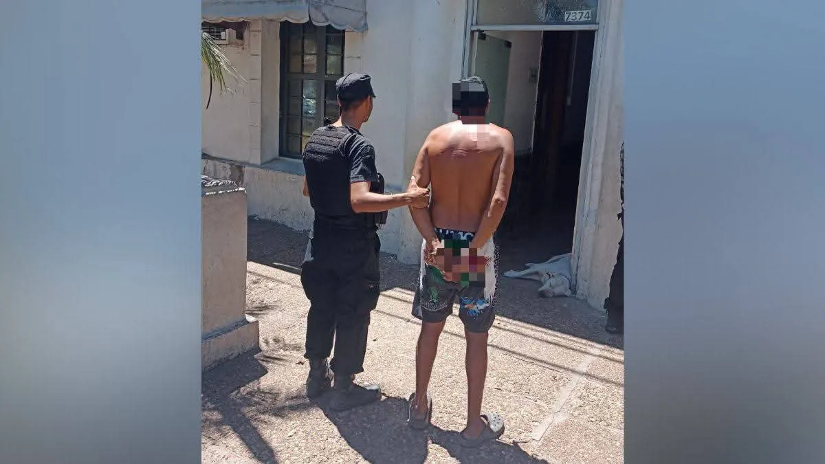 6566ca39-ae68-4e37-834e-4b11f47896d7