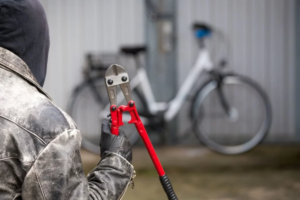 Quién-y-cómo-teroban-la-bici_Rainer-Fuhrmann