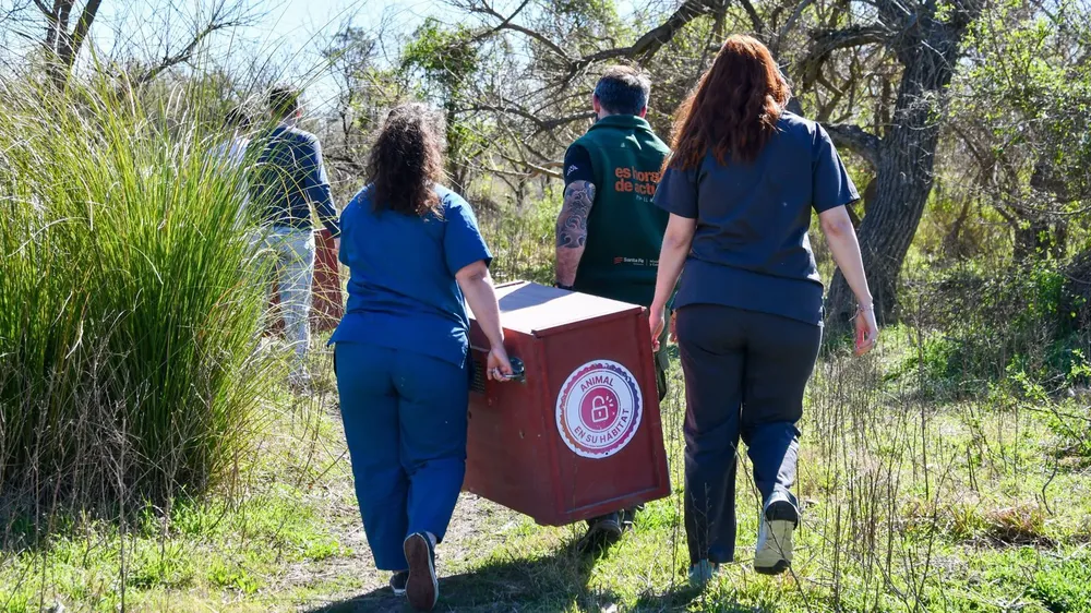 3956bf64-8f6c-4697-a578-3c29d59fbde5