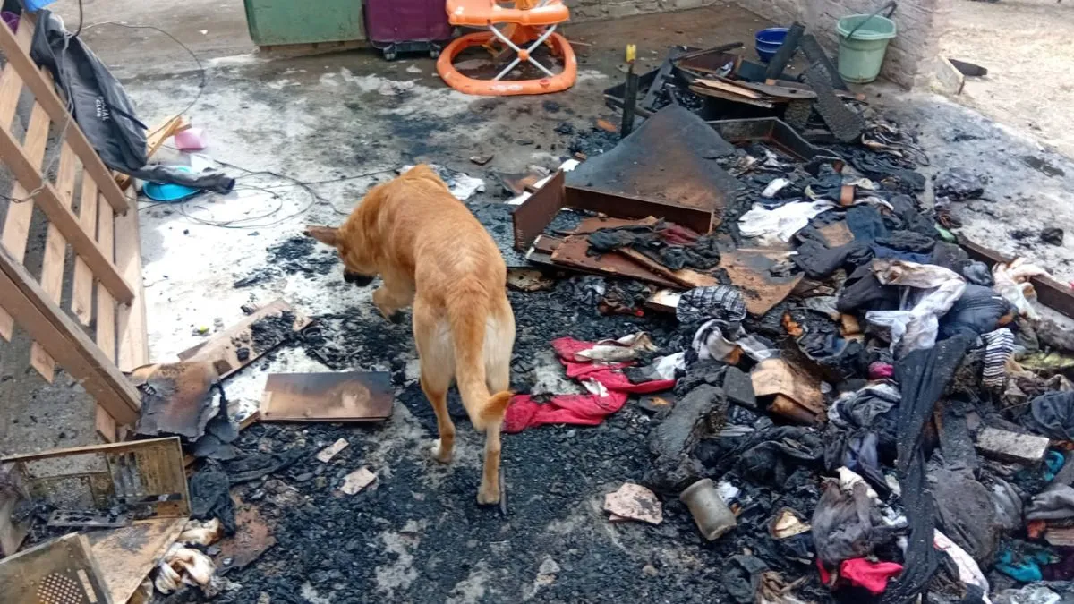 incendio-vivienda-calle-roque-saenz-penajpg