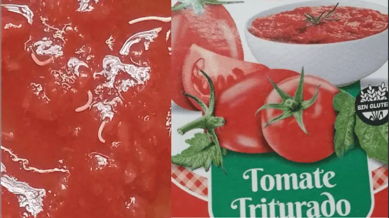 tomate_1.png_1756841869