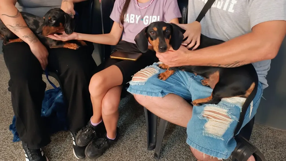 WhatsApp-Image-2026-03-28-at-09.58.25