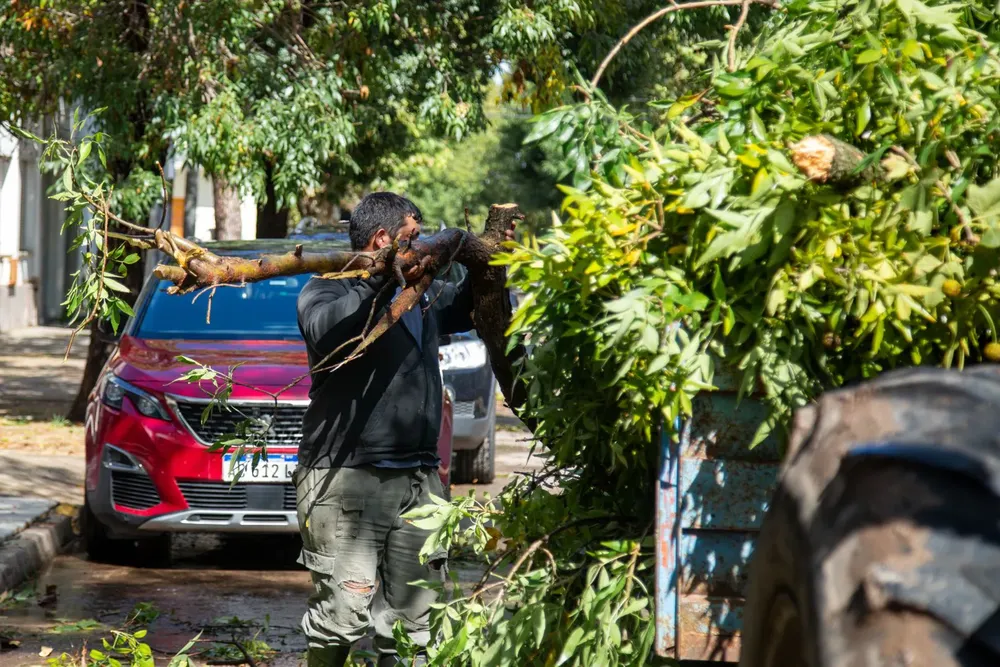 e9aee47c-aa6e-4683-9470-0d74c29808a0