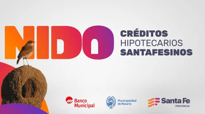 Captura de pantalla 2024-11-08 121226