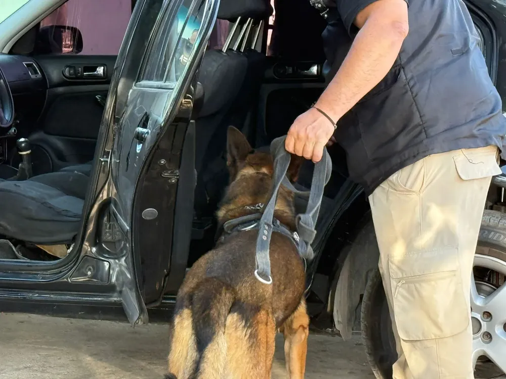 ee63bb75-1fc7-4ecc-a673-32bcbba07efe