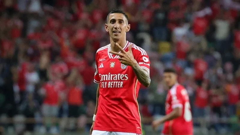 dimaria.jpg_1756841869