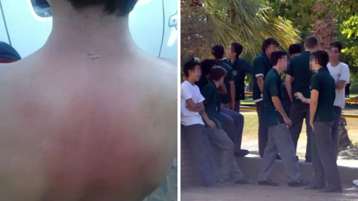 agresion-una-escuela-san-juanpng
