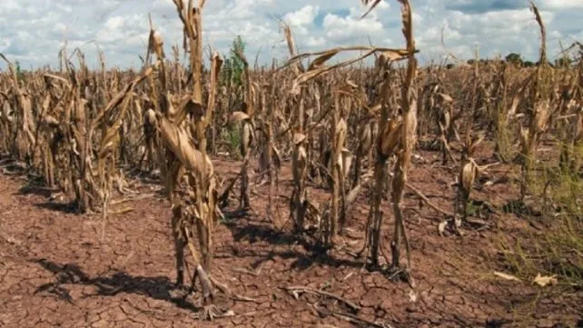 la-nina-fenomeno-climatico-inminencia-jpg