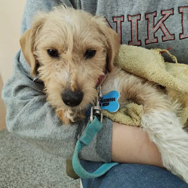 WhatsApp-Image-2025-05-03-at-14.38.16