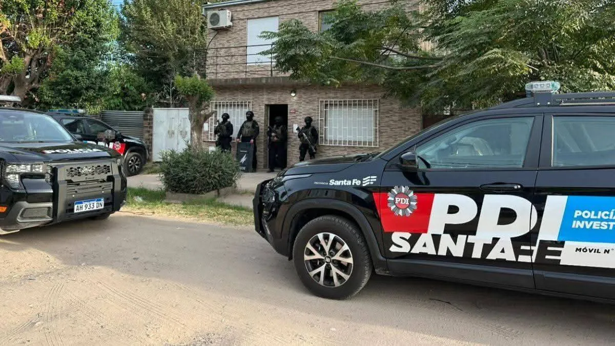 WhatsApp Image 2026-02-05 at 22.50.13