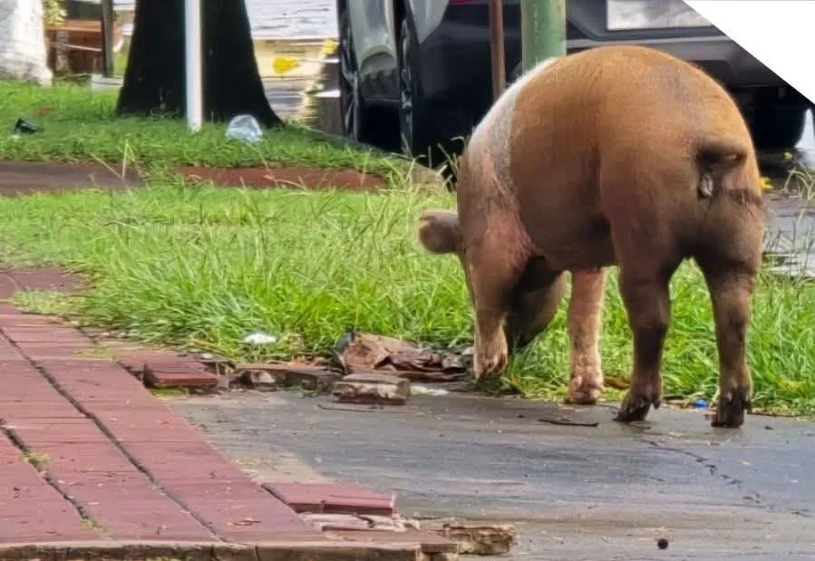 8aa13adc-6c26-4828-a963-8641522a52e7