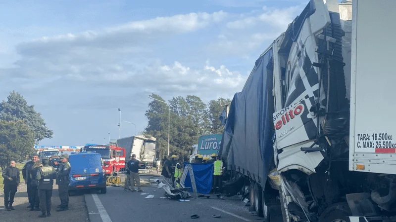 whatsapp_image_2026-02-28_at_10_version1772286401187.png_1756841869